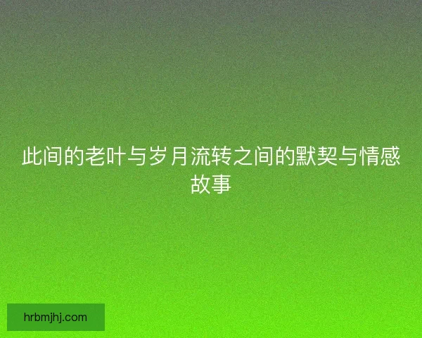 此间的老叶与岁月流转之间的默契与情感故事