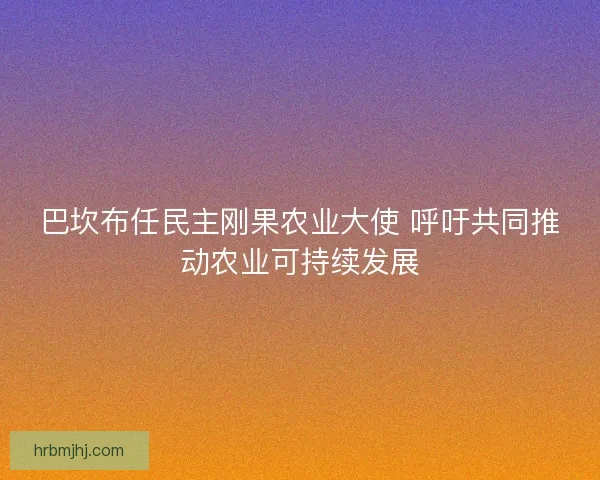 巴坎布任民主刚果农业大使 呼吁共同推动农业可持续发展